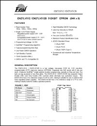 datasheet for EN27LV512B200TI by 