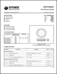 datasheet for DSF21060SV58 by 