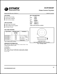 datasheet for DCR1002SF10 by 