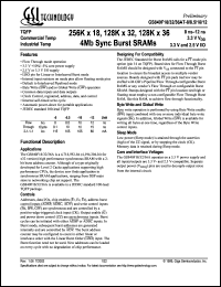 datasheet for GS840F36AT-10I by 