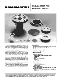 datasheet for F2224-24M by 