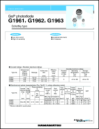 datasheet for G1963 by 