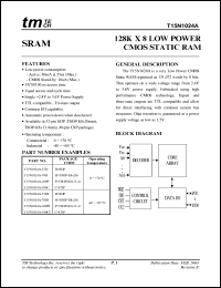 datasheet for T15N1024A-55D by 