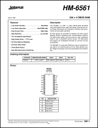 datasheet for HM-6561 by Intersil Corporation