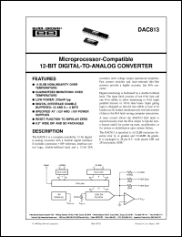 datasheet for DAC813AU/1K by Burr-Brown Corporation