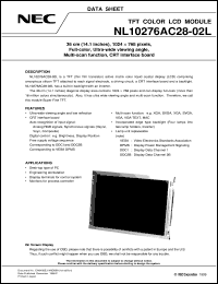 datasheet for NL10276AC28-02L by NEC Electronics Inc.