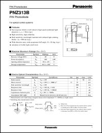 datasheet for PNZ313B by Panasonic - Semiconductor Company of Matsushita Electronics Corporation