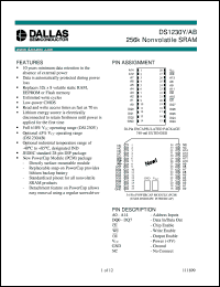 datasheet for DS1230AB-100 by Dallas Semiconductor