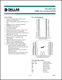 datasheet for DS1250AB-100 by Dallas Semiconductor
